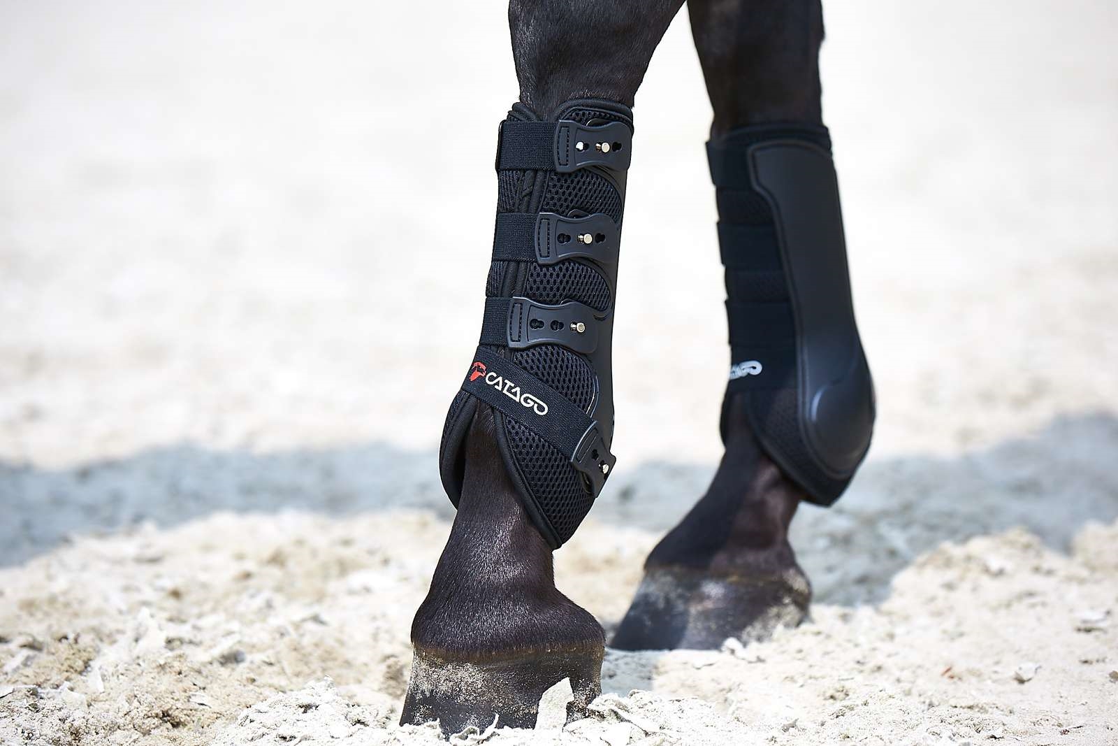 catago dressage boots