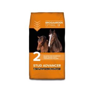 Brogaarden nr. 2 Stud Advancer 15 kg.