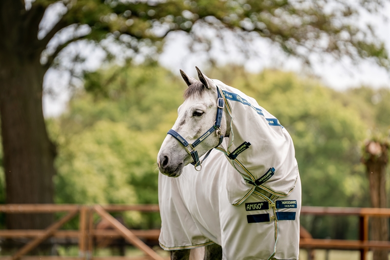 Horseware Signature Field Safe Grime - Navy